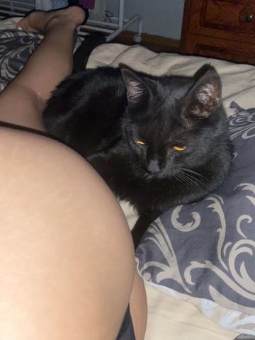 Елена фото 3